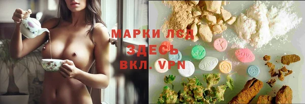 apvp Инсар