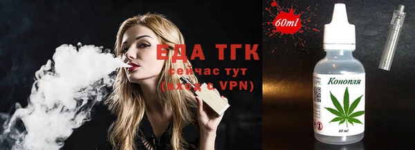 apvp Инсар