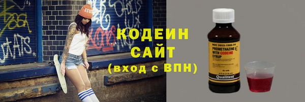apvp Инсар