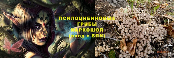 apvp Инсар