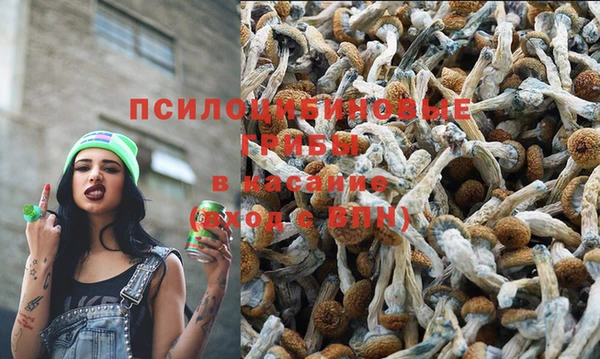 apvp Инсар