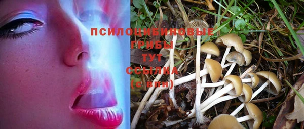 мескалин Иннополис