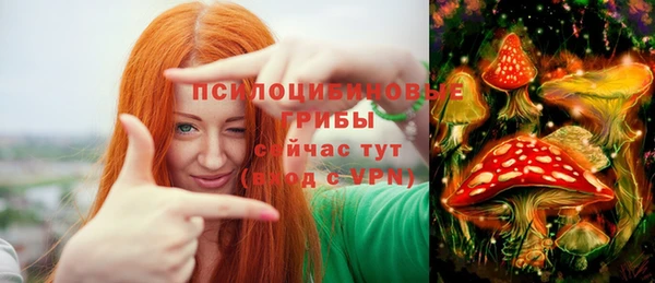 альфа пвп Инта