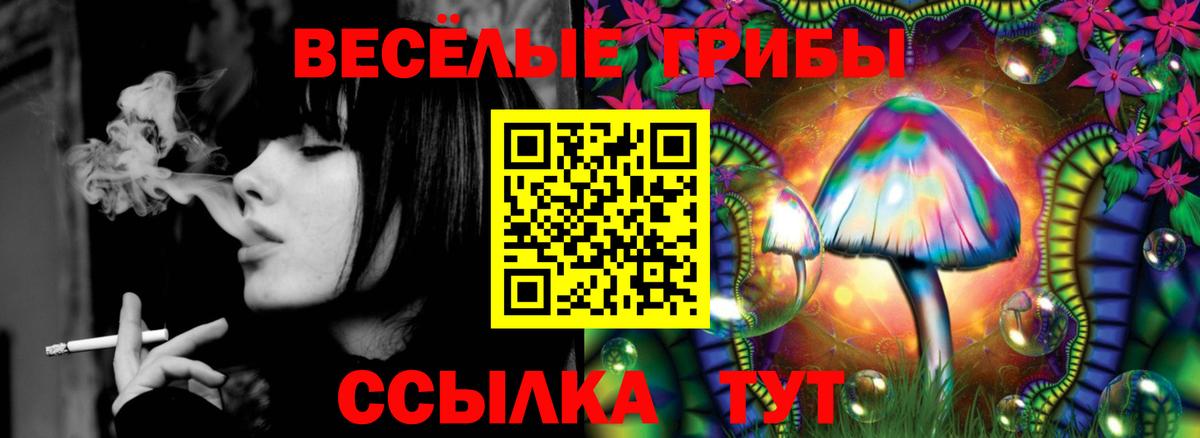 Серпухов  Псилоцибиновые грибы Psilocybe  Вход с VPN 